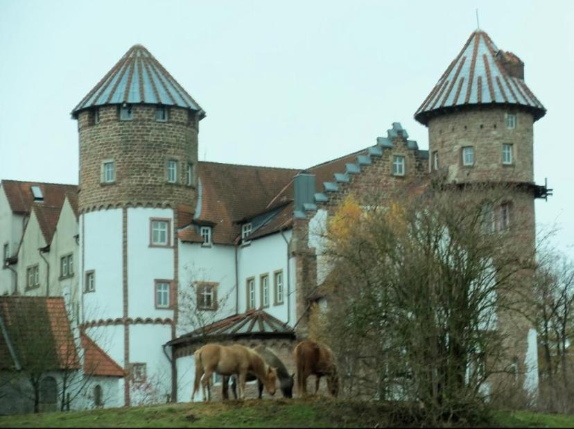 Luxus Appartement Im Schloss Fockelberg Εξωτερικό φωτογραφία